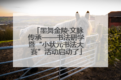 墨舞金陵·文脉传承——书法研学暨“小状元书法大赛”活动启动了